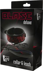 Blaze deluxe collar &amp; leash цена и информация | БДСМ и фетиш | kaup24.ee