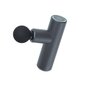 Yunmai Massage Gun Mini YMFG-M352 (grey) hind ja info | Massaažiseadmed | kaup24.ee