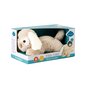 Öövalgusti valguse projektsiooniga - Koer , Dream Buddies Patch the Puppy Cloud B 129056 цена и информация | Imikute mänguasjad | kaup24.ee