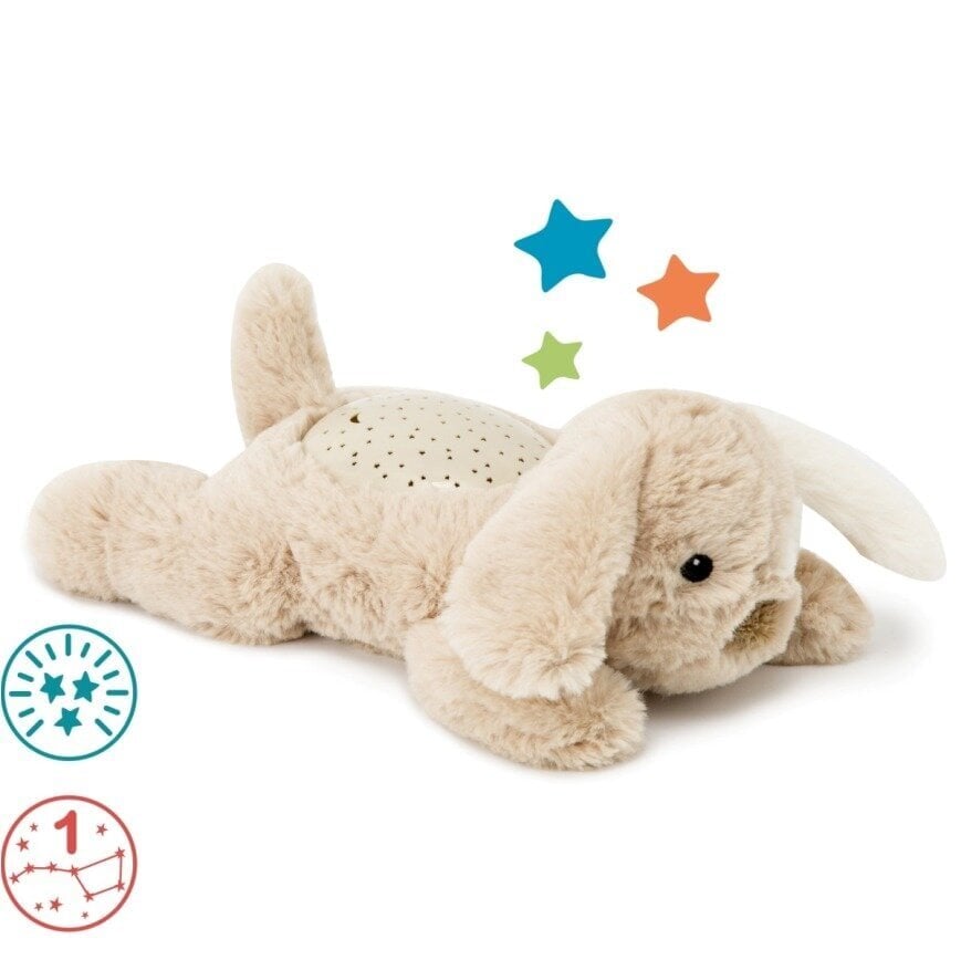 Öövalgusti valguse projektsiooniga - Koer , Dream Buddies Patch the Puppy Cloud B 129056 цена и информация | Imikute mänguasjad | kaup24.ee