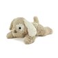 Öövalgusti valguse projektsiooniga - Koer , Dream Buddies Patch the Puppy Cloud B 129056 цена и информация | Imikute mänguasjad | kaup24.ee
