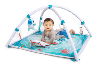 Развивающий коврик TINY LOVE TREASURE THE OCEAN 2-IN-1 MUSICAL GYMINI TL12070068 цена и информация | Развивающие коврики | kaup24.ee