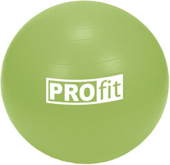 Võimlemispall Profit, 55 cm hind ja info | Profit Sport, puhkus, matkamine | kaup24.ee