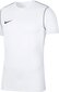 T-shirt Nike Park 20 M BV6883-100 цена и информация | Jalgpalli varustus ja riided | kaup24.ee