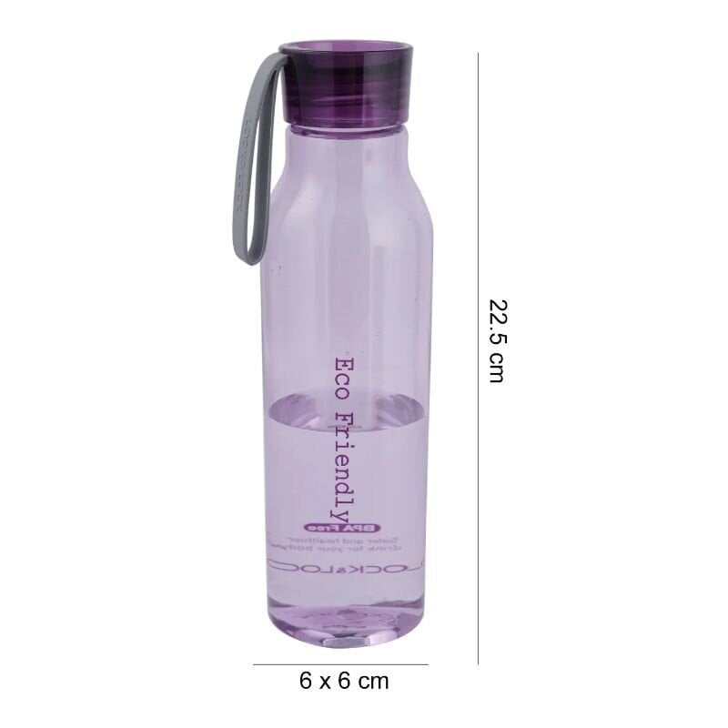 Pudel Eco 550ml lilla hind ja info | Joogipudelid | kaup24.ee