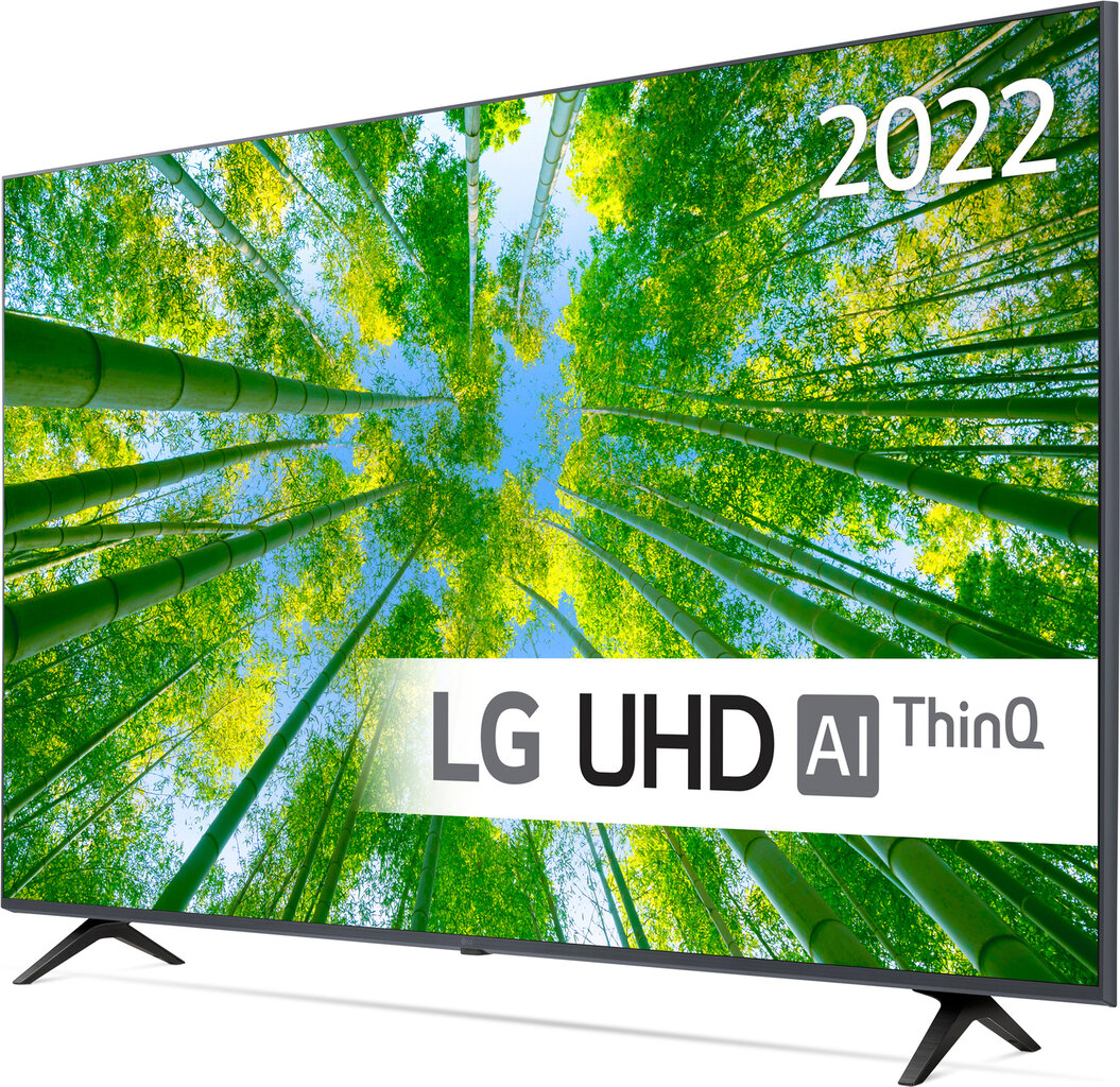 LG 55UQ80003LB цена и информация | Telerid | kaup24.ee