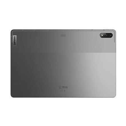 Lenovo IdeaTab P12 Pro 12.6" 8/256GB 5G Grey ZA9E0002SE цена и информация | Tahvelarvutid | kaup24.ee