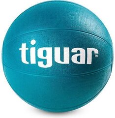 Medicine ball tiguar 2 kg TI-PL0002 hind ja info | Pallid | kaup24.ee