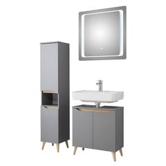 Комплект мебели для ванной комнаты с LED-светильником 357, серый цена и информация | Комплекты в ванную | kaup24.ee