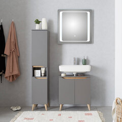Led valgustusega vannitoamööbli komplekt 357 hall цена и информация | Комплекты в ванную | kaup24.ee
