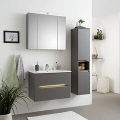 Led valgustusega vannitoamööbli komplekt ja valamu 357 hall hind ja info | Vannitoa komplektid | kaup24.ee