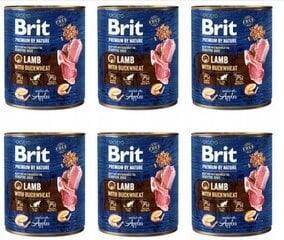Konservid koertele Brit Premium by Nature Lamb with Buckwheat, 6 x 800 g hind ja info | Brit Premium Lemmikloomatarbed | kaup24.ee