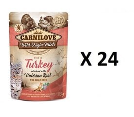 Carnilove консервы для кошек Turkey Valeriana, 24 х 85г цена и информация | Кошачьи консервы | kaup24.ee