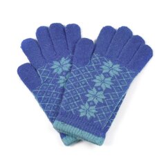 Перчатки Art of Polo | синие rk1620-4 цена и информация | Женские перчатки | kaup24.ee