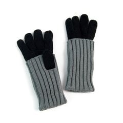 Перчатки Art of Polo | черные, серые rk2610-8 цена и информация | Женские перчатки | kaup24.ee
