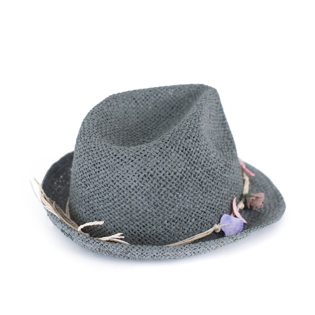 Art of Polo Hat | Hall cz18225-4 hind ja info | Tüdrukute mütsid, sallid, kindad | kaup24.ee