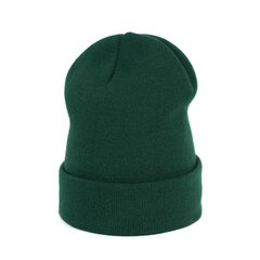 Art of Polo Müts | pudel roheline cz20830-6 hind ja info | Naiste mütsid ja peapaelad | kaup24.ee