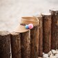 Art of Polo Visor hat | tumebeež, helesinine, heleroosa cz21202-2 hind ja info | Tüdrukute mütsid, sallid, kindad | kaup24.ee
