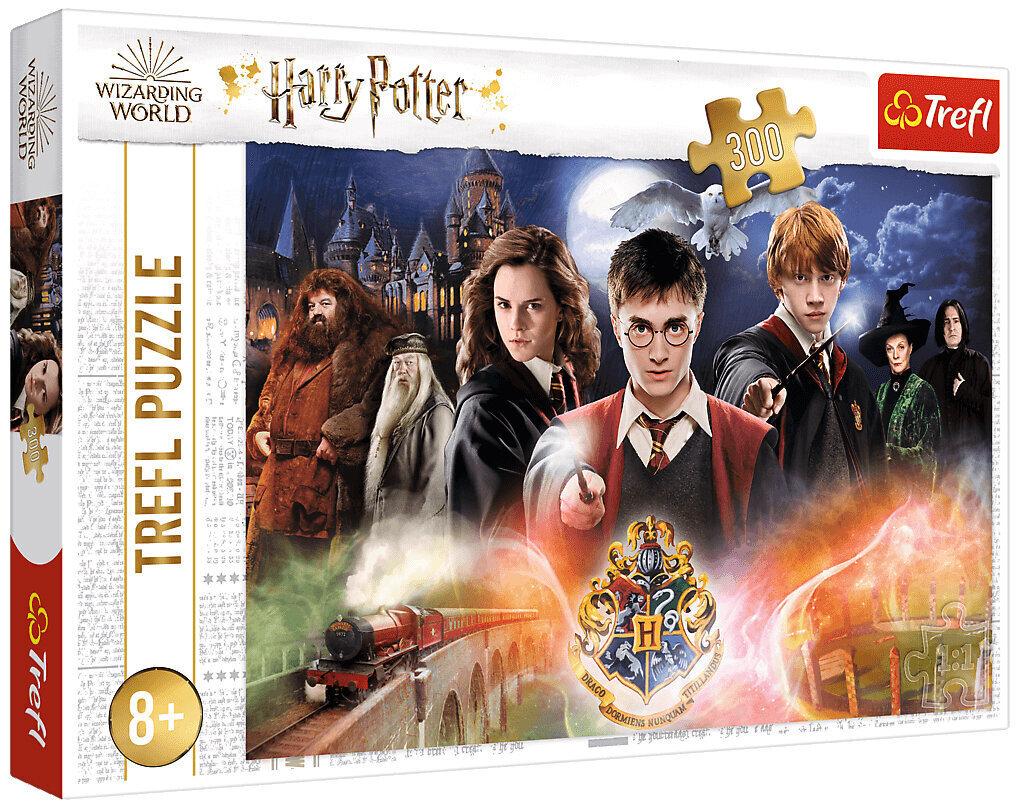 Pusle 284 Harry Potter / *300tk hind ja info | Pusled | kaup24.ee