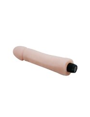 Фаллоимитатор-вибратор Love Companion Vibrating Dildo 25 Cm цена и информация | БДСМ и фетиш | kaup24.ee