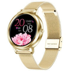Pacific 28 Steel Gold цена и информация | Смарт-часы (smartwatch) | kaup24.ee