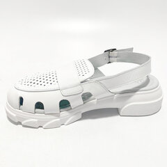 LIZZARO nahast sandaalid 149354 hind ja info | Naiste sandaalid | kaup24.ee