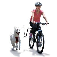 Springeri koera jalgrattakinnituse komplekt hind ja info | Koerte jalutusrihmad | kaup24.ee