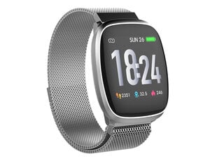 Trevi T-Fit 260 HB Silver цена и информация | Смарт-часы (smartwatch) | kaup24.ee