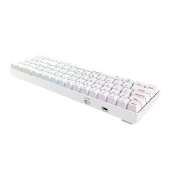 Wireless mechanical keyboard Dareu EK871 Bluetooth + 2.4G RGB (white) цена и информация | Клавиатуры | kaup24.ee