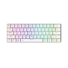 Wireless mechanical keyboard Dareu EK861 Bluetooth + 2.4G RGB (white) цена и информация | Клавиатуры | kaup24.ee