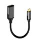 USB-C DisplayPort 1.2 emane 4K 60HZ adapterkaabel hind ja info | USB jagajad, adapterid | kaup24.ee