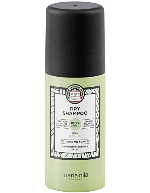 Kuivšampoon Style & Finish, 100ml цена и информация | Šampoonid | kaup24.ee