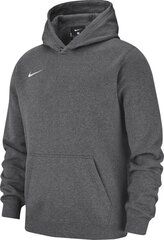 Poiste dressipluus Nike Team Club 19 Fleece Hoodie PO 147 cm ( AJ1544 071 ) цена и информация | Свитеры, жилетки, пиджаки для мальчиков | kaup24.ee