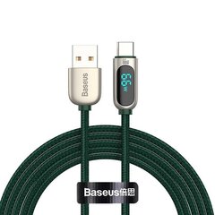 Baseus Display Cable USB to Type-C, 66W, 1m (green) цена и информация | Borofone 43757-uniw | kaup24.ee