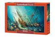 Pusle Puzzle Castorland Ocean Treasure, 1000-osaline цена и информация | Pusled | kaup24.ee