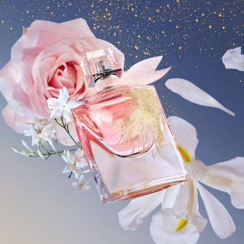 Parfüümvesi​​​​​​Lancome Oui La Vie est Belle EDP naistele, 100 ml hind ja info | Naiste parfüümid | kaup24.ee