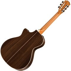 Taylor 812e 12-Fret electro acoustic guitar цена и информация | Гитары | kaup24.ee