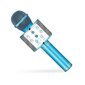 Juhtmeta bluetooth mikrofoni kõlar, fm-raadio hind ja info | Arendavad mänguasjad | kaup24.ee