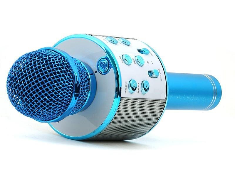 Juhtmeta bluetooth mikrofoni kõlar, fm-raadio hind ja info | Arendavad mänguasjad | kaup24.ee