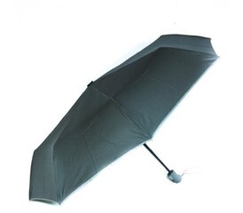 Airtex automaatne vihmavari, hall, 5371B hind ja info | Naiste vihmavarjud | kaup24.ee