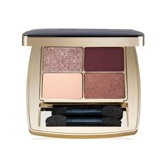 Lauvärvi palett Estee Lauder Pure Color Aubergine Dream hind ja info | Ripsmetušid, lauvärvid, silmapliiatsid, seerumid | kaup24.ee