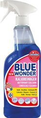 Сильнодействующее средство для чистки известняка Blue Wonder, 750 мл цена и информация | Чистящие средства | kaup24.ee