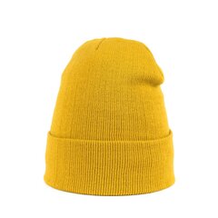 Art of Polo Hat | sinep cz20305-9 цена и информация | Мужские шарфы, шапки, перчатки | kaup24.ee