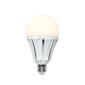 LED pirn Accura PowerLight, E27, 24 W цена и информация | Lambipirnid, lambid | kaup24.ee