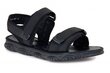 Naiste sandaalid EVITA 262260040751 hind ja info | Naiste sandaalid | kaup24.ee