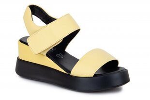 Naiste sandaalid BADEN 261771041102 hind ja info | Naiste kingad | kaup24.ee