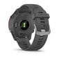 Garmin Forerunner® 255 Slate Gray 46mm цена и информация | Nutikellad (smartwatch) | kaup24.ee