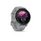 Garmin Forerunner® 255S Powder Grey 41mm. hind ja info | Nutikellad (smartwatch) | kaup24.ee