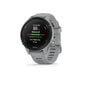 Garmin Forerunner® 255S Powder Grey 41mm. hind ja info | Nutikellad (smartwatch) | kaup24.ee