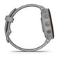 Garmin Forerunner® 255S Powder Grey 41mm hind ja info | Nutikellad (smartwatch) | kaup24.ee